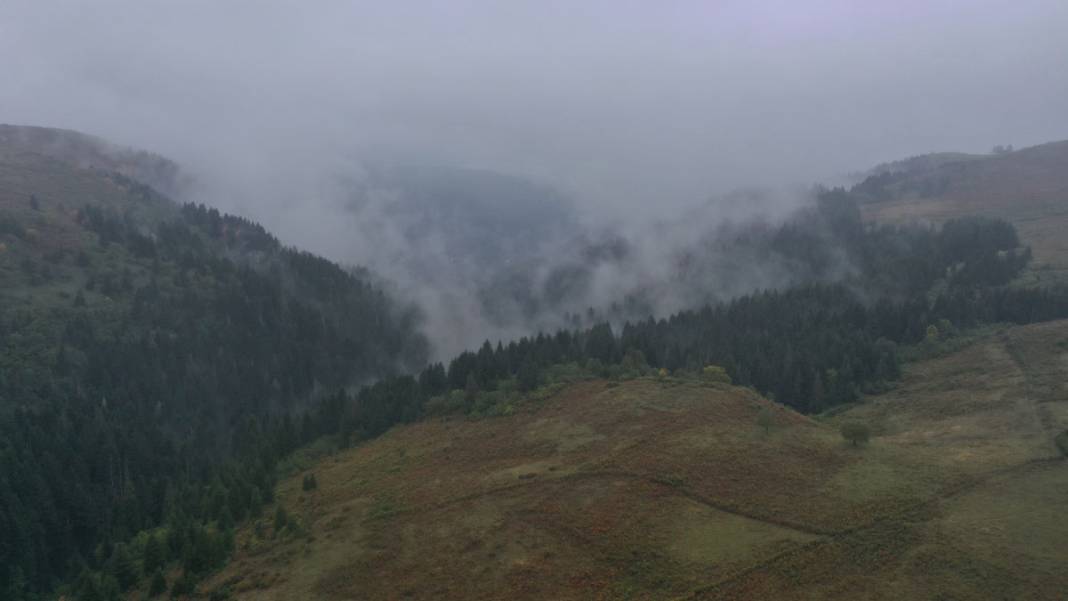 Karadeniz yaylalarında dönüş başladı: Çobanların sisli ve zorlu yolculuğu 3